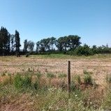 Cod.070 Arriendo parcela 7.500 m2 Isla de Maipo