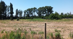 Cod.070 Arriendo parcela 7.500 m2 Isla de Maipo