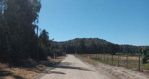 Cod.315 Venta parcelas 5000m2 Isla de Maipo