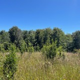 Cod.444 Venta de parcela 5.000m2 Los Muermos