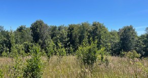 Cod.444 Venta de parcela 5.000m2 Los Muermos