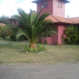 Cod. 377 Arriendo casa Talagante